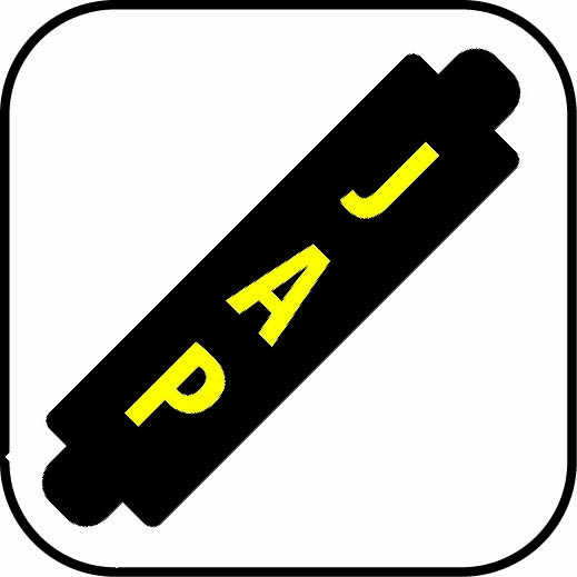 Autogordelhoes kinderen in hippe kleur oranje